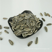 Supply all kinds of hybrid Sunflower seed 5009/3638/3939/1121/363